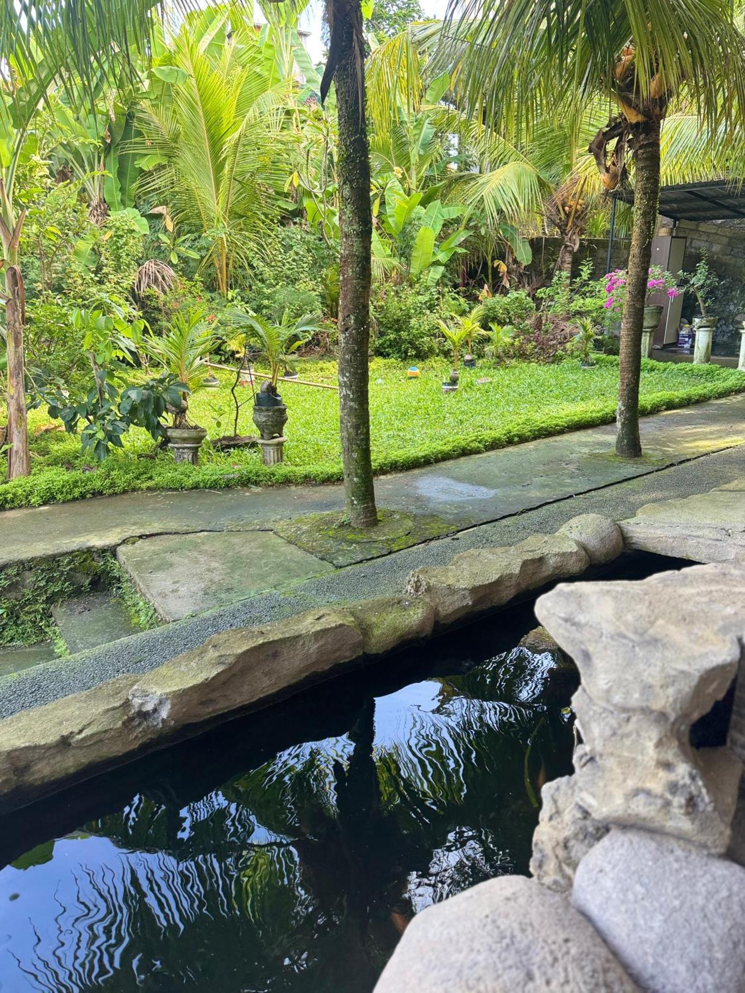 Pineapple House Hotel Ubud Buitenkant foto